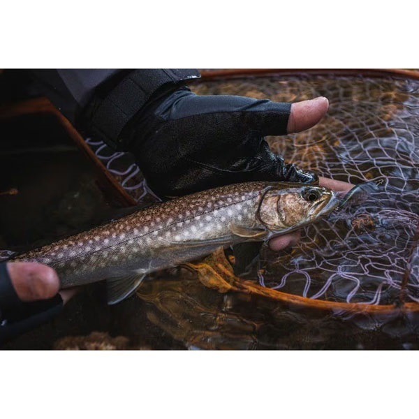 CARDIFF リフレイン 50HS